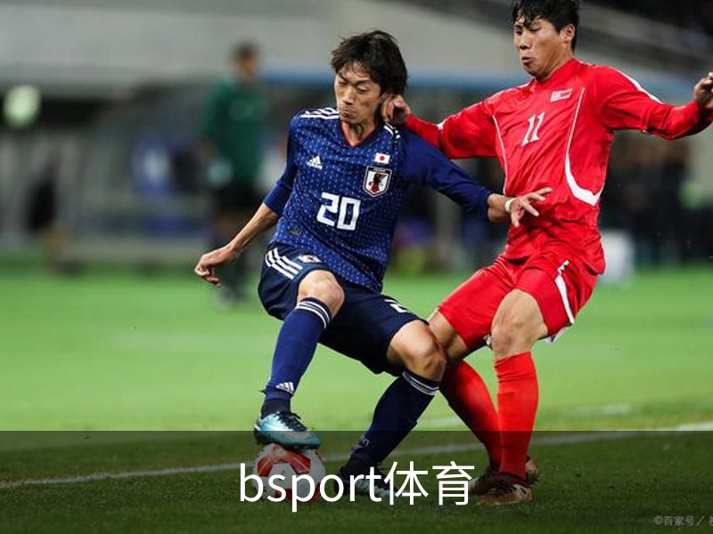 bsport体育简介